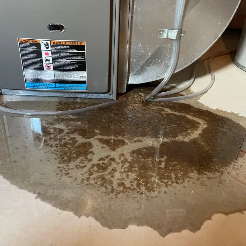 Appliance Leak Cleanup in Fearrington Village, NC